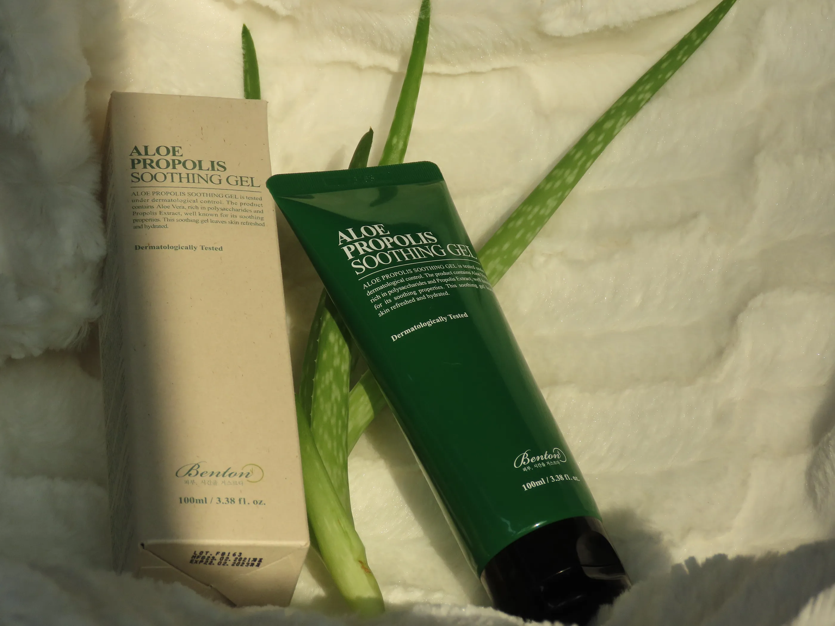 Hero Banner of the product photo from aloe vera